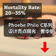 Phoebe Philo C系列设计亮点曝光：奢华细节与雕塑感廓形解析