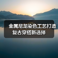 金属尼龙染色工艺打造复古穿搭新选择(图3) 金属尼龙染色工艺打造复古穿搭新选择(图3)
