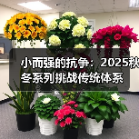 小而强的抗争:2025秋冬系列挑战传统体系(图3) 小而强的抗争:2025秋冬系列挑战传统体系(图3)