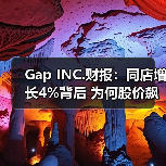 Gap INC.财报：同店增长4%背后 为何股价飙升16%（图2）