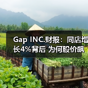 Gap INC.财报：同店增长4%背后 为何股价飙升16%（图4）