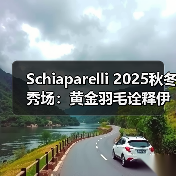 Schiaparelli 2025秋冬秀场：黄金羽毛诠释伊卡洛斯冒险精神（图2）