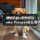 硬核机能x都市精致！Seiko Prospex联名潜水表发布（图4）