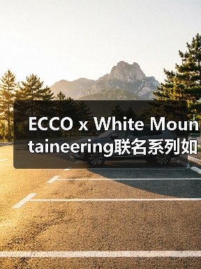 ECCO x White Mountaineering联名系列如何演绎山系自然美学?(图2) ECCO x White Mountaineering联名系列如何演绎山系自然美学?(图2)