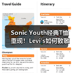 Sonic Youth经典T恤重现！Levi's如何致敬音乐传奇（图4）