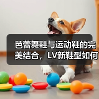 芭蕾舞鞋与运动鞋的完美结合，LV新鞋型如何定义时尚？（图4）