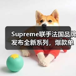 Supreme联手法国品牌发布全新系列，爆款单品抢先看（图2）
