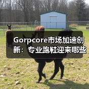 Gorpcore市场加速创新：专业跑鞋迎来哪些变革？（图1）