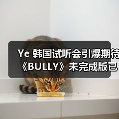 Ye 韩国试听会引爆期待 《BULLY》未完成版已登顶榜单（图2）