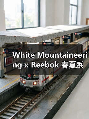 White Mountaineering x Reebok 春夏系列新款鞋款设计亮点解析（图4）