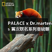 PALACE x Dr.martens 首次联名系列重磅曝光（图2）