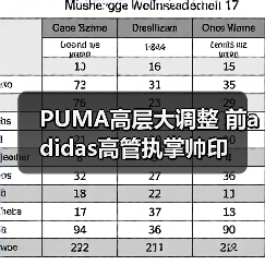 PUMA高层大调整 前adidas高管执掌帅印（图3）
