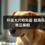 仲夏大片抢先看 航海风单品亮相(图3) 仲夏大片抢先看 航海风单品亮相(图3)