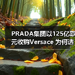 PRADA集团以125亿欧元收购Versace 为何选择?(图4) PRADA集团以125亿欧元收购Versace 为何选择?(图4)