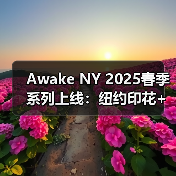 Awake NY 2025春季系列上线：纽约印花+实穿设计如何碰撞？（图2）