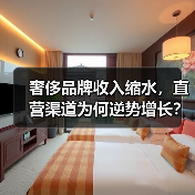 奢侈品牌收入缩水,直营渠道为何逆势增长?(图2) 奢侈品牌收入缩水,直营渠道为何逆势增长?(图2)