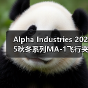 Alpha Industries 2025秋冬系列MA-1飞行夹克日本限定款11色亮相,复刻经典再升级(图3) Alpha Industries 2025秋冬系列MA-1飞行夹克日本限定款11色亮相,复刻经典再升级(图3)