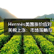 Hermès美国涨价应对关税上涨:市场策略与影响揭秘(图1) Hermès美国涨价应对关税上涨:市场策略与影响揭秘(图1)