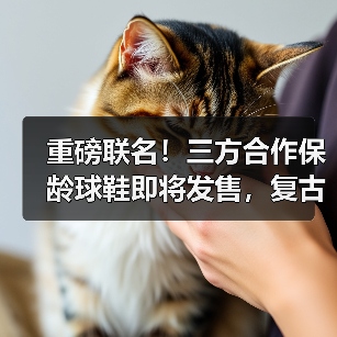 重磅联名！三方合作保龄球鞋即将发售，复古风潮再现？（图3）