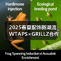 2025春夏配饰新潮流，WTAPS×GRILLZ合作款有哪些亮点？（图1）