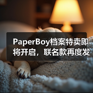 PaperBoy档案特卖即将开启,联名款再度发售!(图4) PaperBoy档案特卖即将开启,联名款再度发售!(图4)