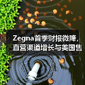 Zegna首季财报微降,直营渠道增长与美国售价调整策略(图4) Zegna首季财报微降,直营渠道增长与美国售价调整策略(图4)