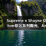 Supreme x Shayne Oliver联名系列曝光,Anonymous Club合作款引期待(图2) Supreme x Shayne Oliver联名系列曝光,Anonymous Club合作款引期待(图2)