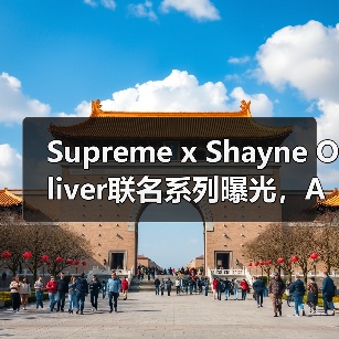 Supreme x Shayne Oliver联名系列曝光，Anonymous Club合作款引期待