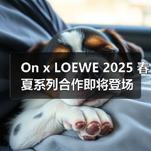 On x LOEWE 2025 春夏系列合作即将登场