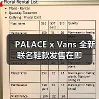 PALACE x Vans 全新联名鞋款发售在即(图4) PALACE x Vans 全新联名鞋款发售在即(图4)